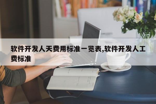 软件开发人天费用标准一览表,软件开发人工费标准