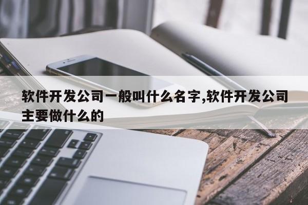 软件开发公司一般叫什么名字,软件开发公司主要做什么的