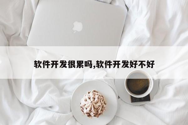 软件开发很累吗,软件开发好不好