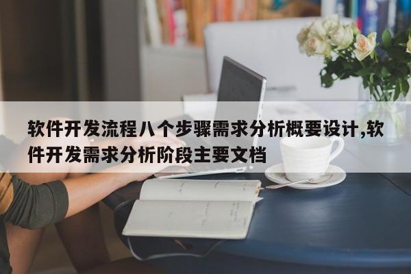 软件开发流程八个步骤需求分析概要设计,软件开发需求分析阶段主要文档