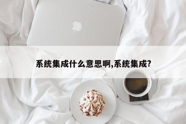 系统集成什么意思啊,系统集成?