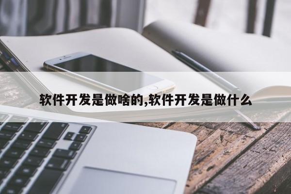 软件开发是做啥的,软件开发是做什么