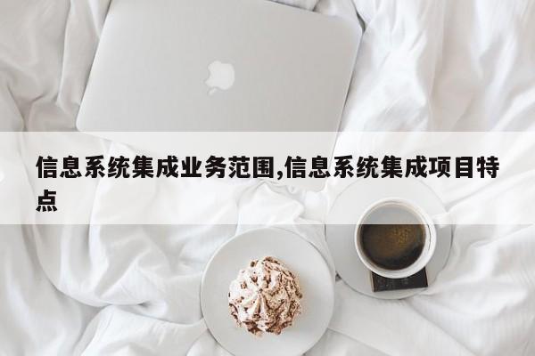信息系统集成业务范围,信息系统集成项目特点