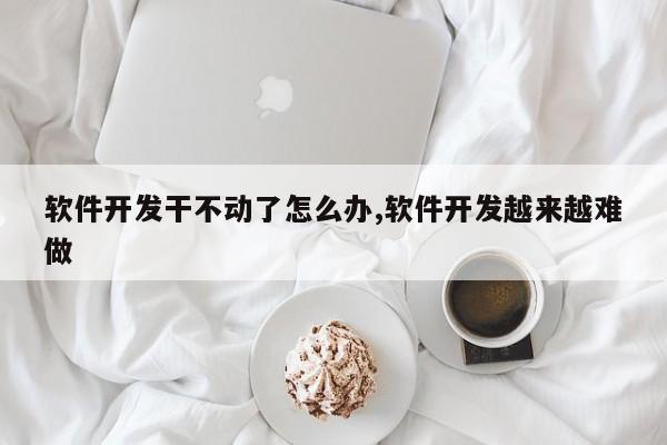 软件开发干不动了怎么办,软件开发越来越难做