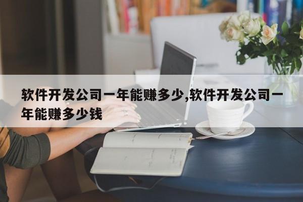 软件开发公司一年能赚多少,软件开发公司一年能赚多少钱