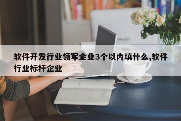 软件开发行业领军企业3个以内填什么,软件行业标杆企业