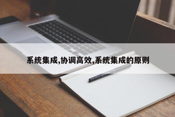 系统集成,协调高效,系统集成的原则