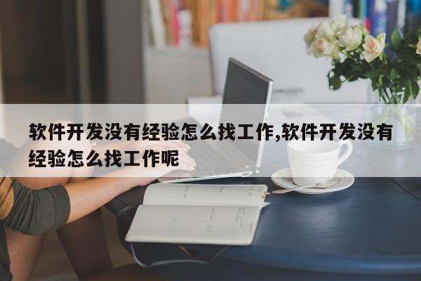 软件开发没有经验怎么找工作,软件开发没有经验怎么找工作呢