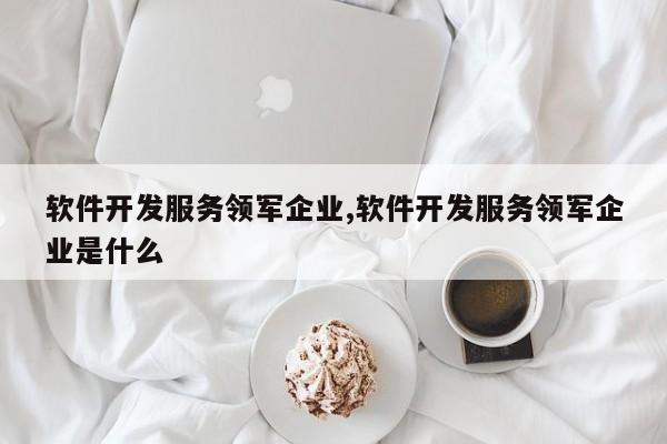 软件开发服务领军企业,软件开发服务领军企业是什么