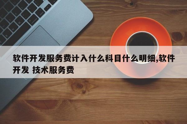 软件开发服务费计入什么科目什么明细,软件开发 技术服务费