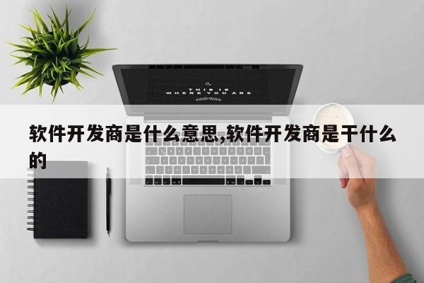 软件开发商是什么意思,软件开发商是干什么的