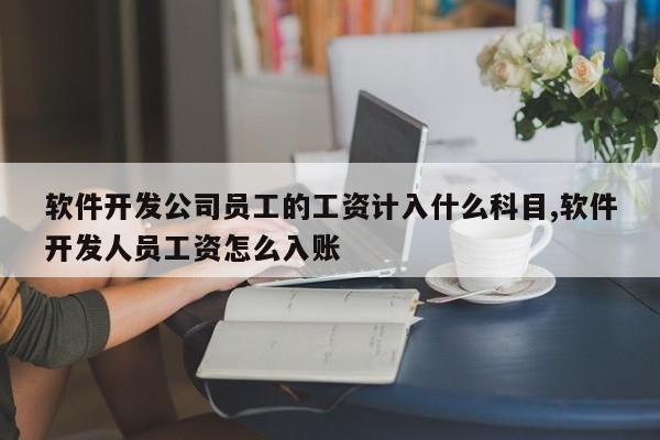 软件开发公司员工的工资计入什么科目,软件开发人员工资怎么入账