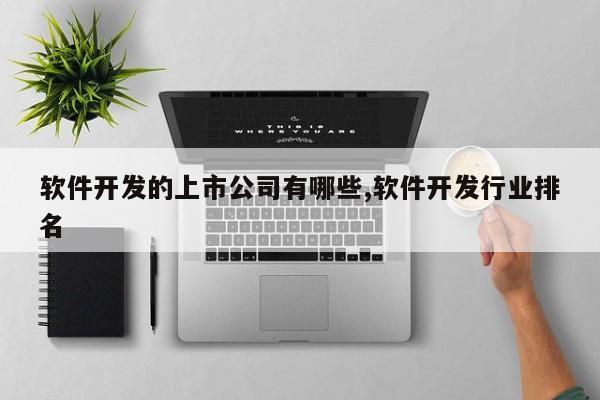 软件开发的上市公司有哪些,软件开发行业排名