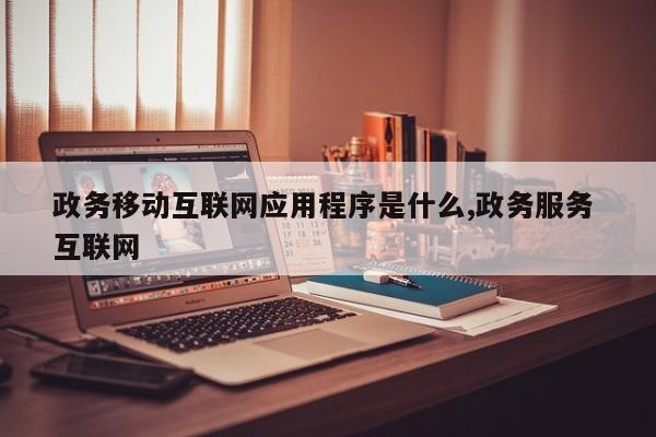 政务移动互联网应用程序是什么,政务服务 互联网