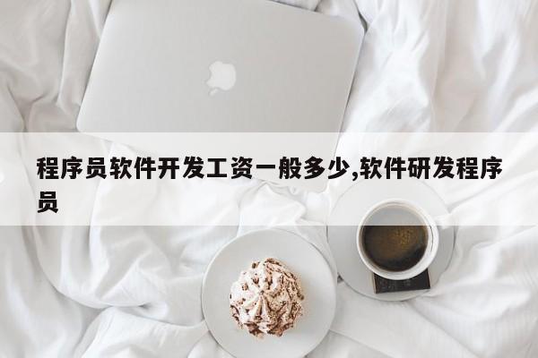 程序员软件开发工资一般多少,软件研发程序员