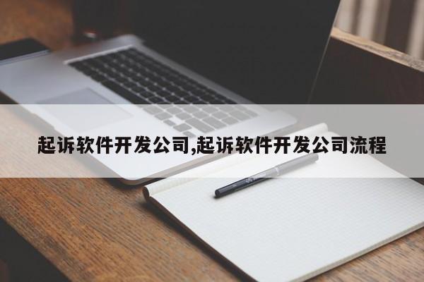 起诉软件开发公司,起诉软件开发公司流程